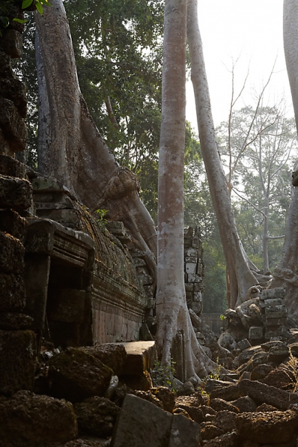 Ta Phrom et environs-142